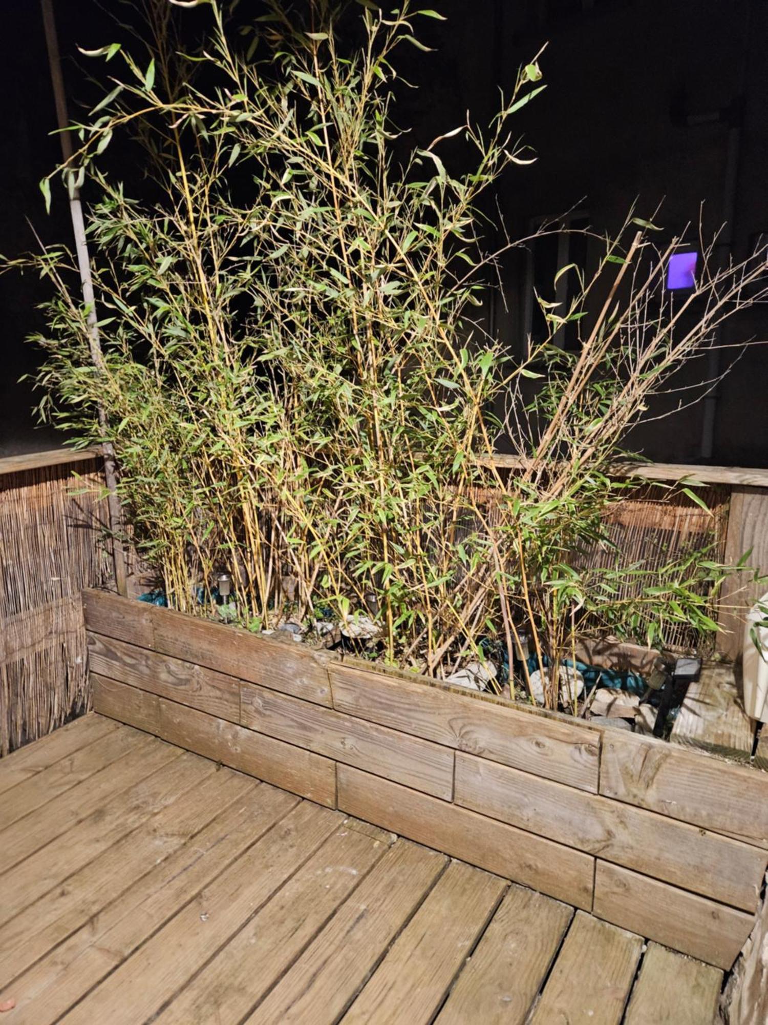 Maison De Village Meublee Avec Terrasse Donzère Eksteriør billede